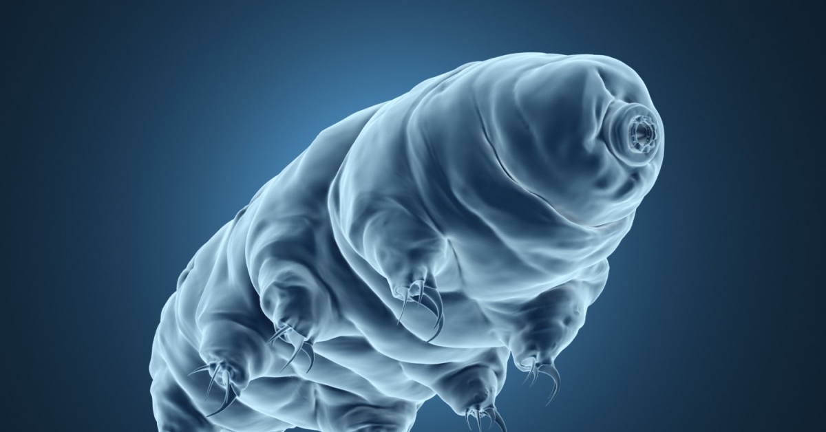 Storj’s-decentralized-cloud-storage-service-‘tardigrade’-goes-live