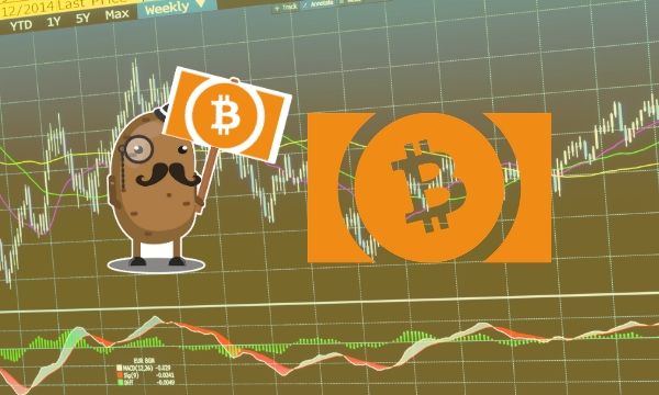 Bitcoin-cash-price-analysis:-bch-holds-gains-above-$200-despite-weekend’s-drop,-but-will-it-break-up?
