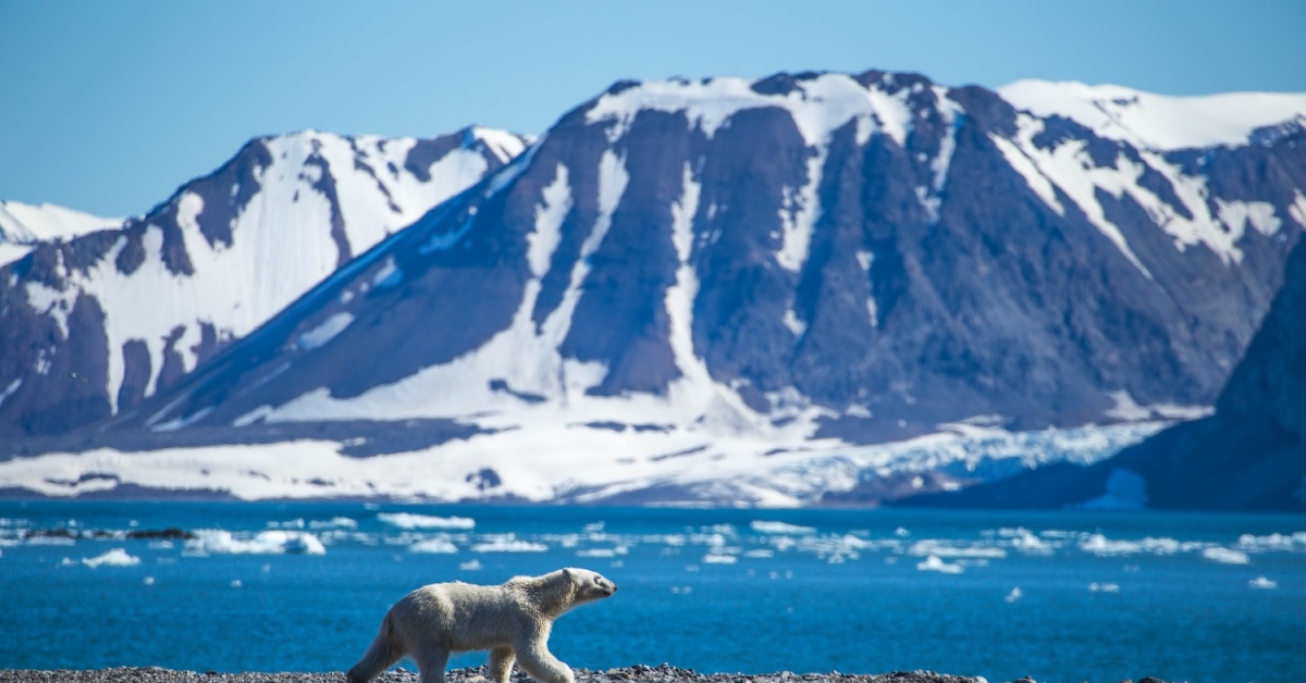 Github-is-burying-bitcoin-code-inside-an-arctic-mountain-to-ride-out-the-next-1,000-years