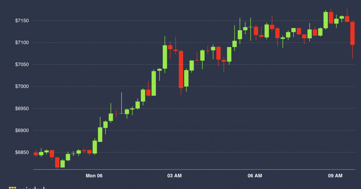 Bitcoin,-equities-markets-rally-on-signs-of-hope