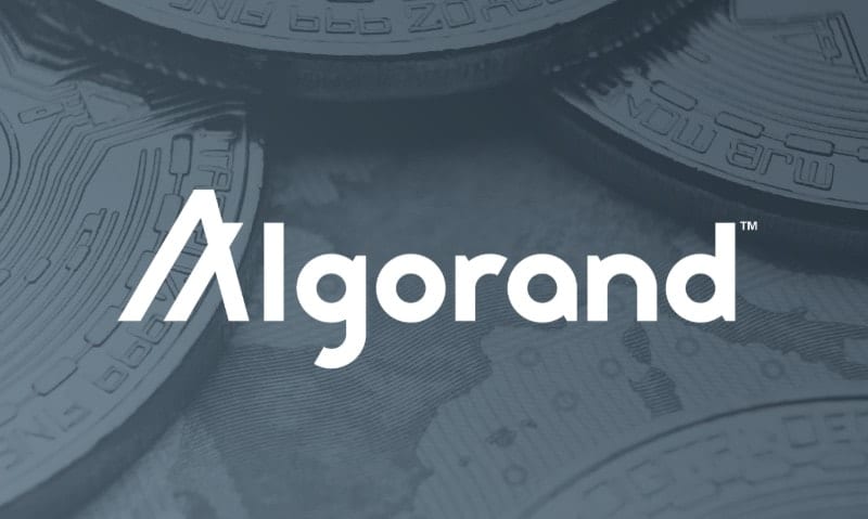 Algorand-launches-a-vc-studio-for-decentralized-applications,-partners-with-leading-investment-companies