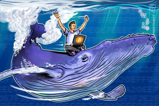 Data-shows-bitcoin-whales-have-no-intent-of-selling-at-current-prices