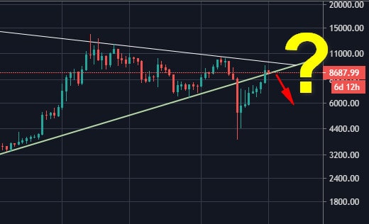 Bitcoin-tests-historical-support-line-from-2015:-a-breakdown-might-lead-to-huge-dump-before-halving-(btc-price-analysis)