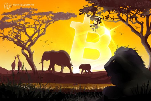 African-bitcoin-trading-volume-breaks-2017’s-record-ahead-of-halving
