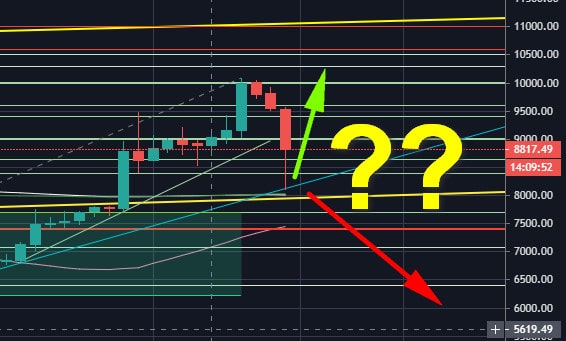 Bitcoin-price-analysis:-despite-the-20%-crash-to-$8k,-there-was-some-positive-news-(so-far)