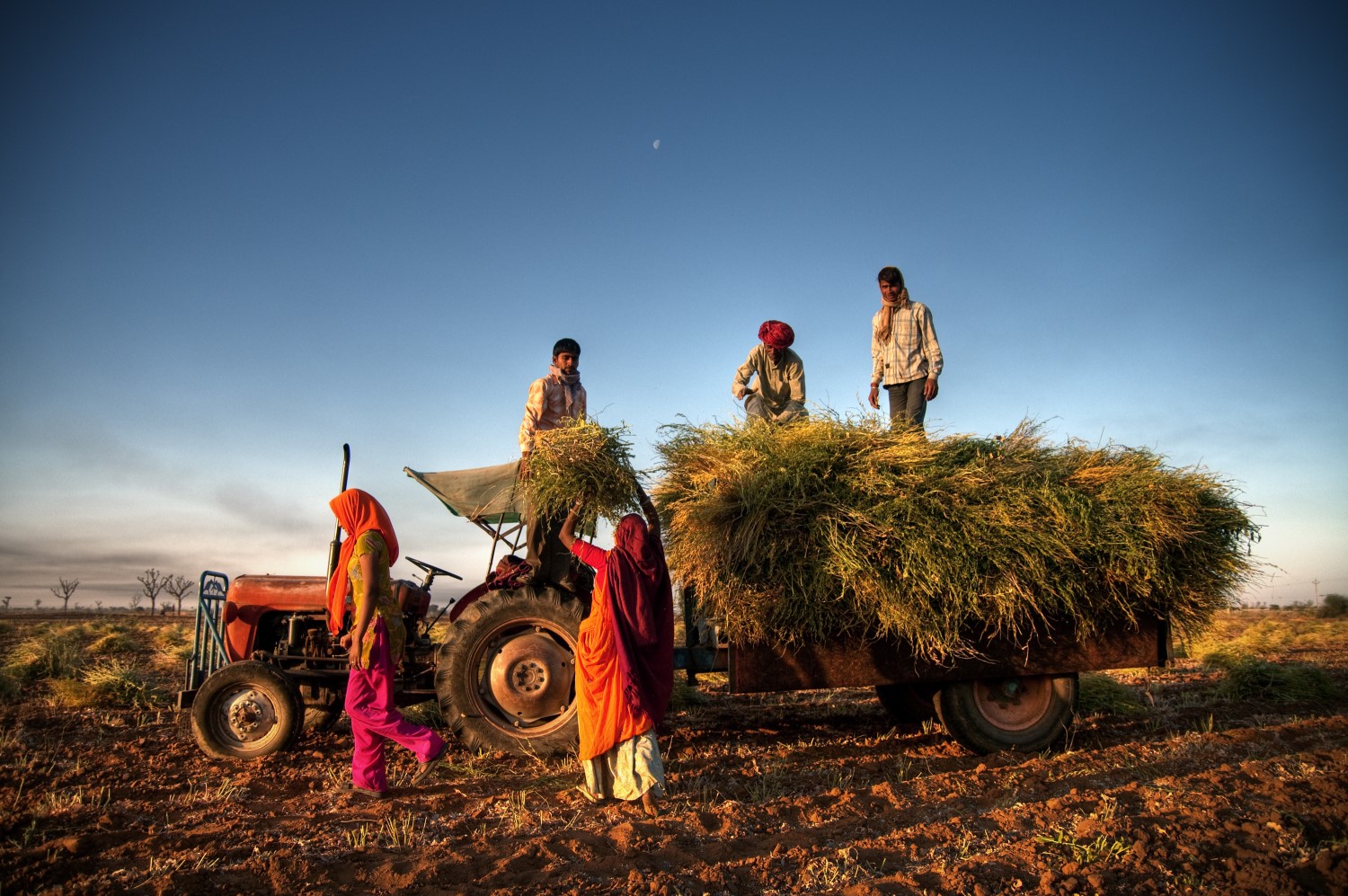 Blockchain-firm-partners-indian-government-to-boost-earnings-for-farmers