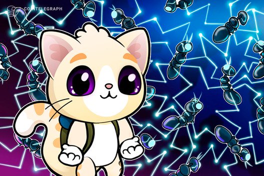 Dapper-labs-welcomes-cryptokitties-onto-flow-blockchain