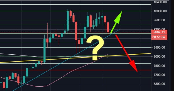 Bitcoin-plummets-$1000-below-$9k:-will-the-crucial-support-hold-here?-btc-analysis-&-overview