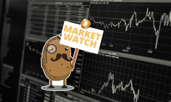 Bitcoin-steady-above-$9,000-anticipating-the-new-week’s-start:-sunday’s-crypto-market-watch
