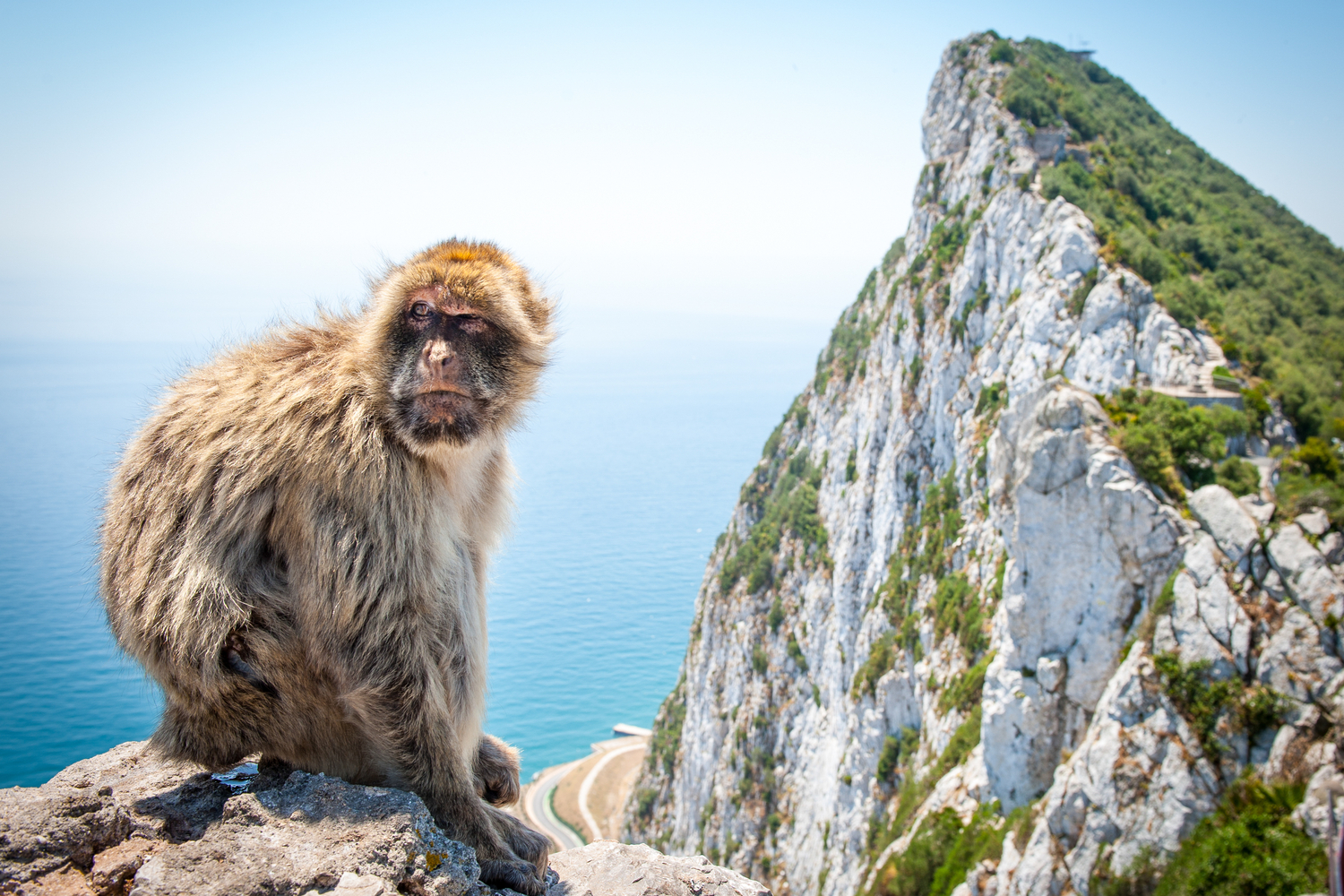 It’s-tough-getting-approved-in-gibraltar,-says-green-lighted-crypto-derivatives-exchange
