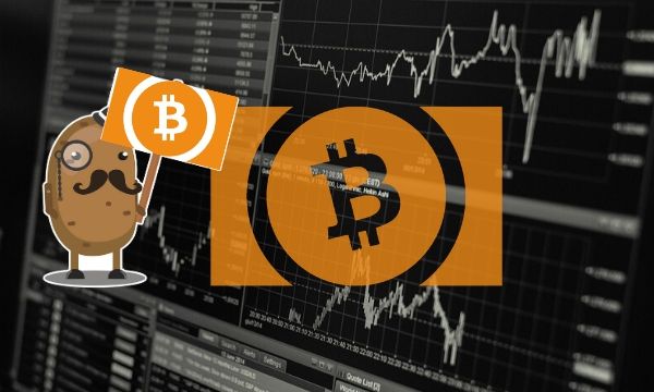 Bch-consolidates-around-$260-but-a-big-move-might-be-incoming:-bitcoin-cash-price-analysis