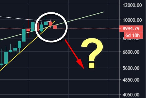 Bitcoin-price-crashes-below-$9000-–-breaking-crucial-support-from-2015:-btc-analysis-&-weekly-overview