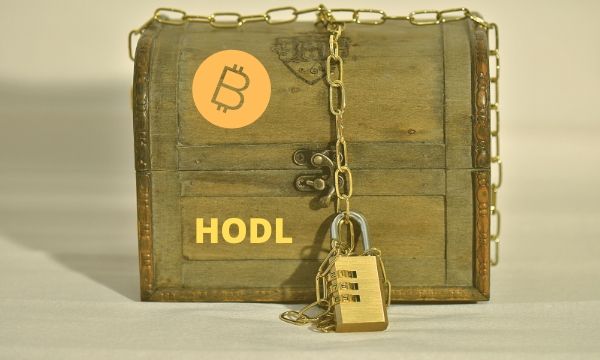 Hodlers-prevail:-nearly-60%-of-mined-bitcoin-is-held-by-long-term-investors,-report-says