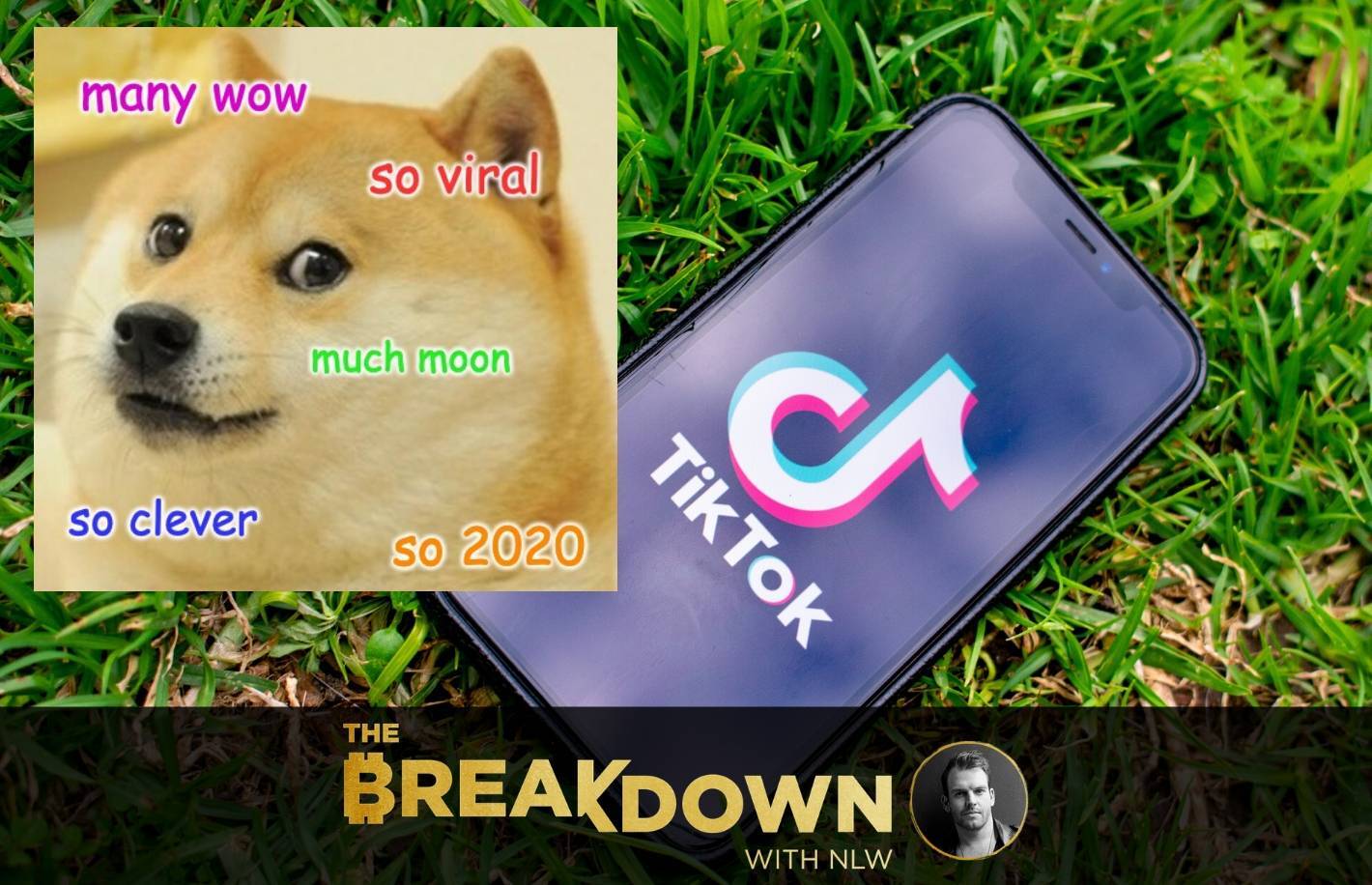 Tiktok-let-the-doge-out:-why-tiktok-doge-is-everything-about-2020-finance-in-one-story