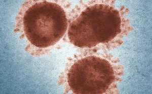 Fincen-warns-on-coronavirus-scams-demanding-crypto