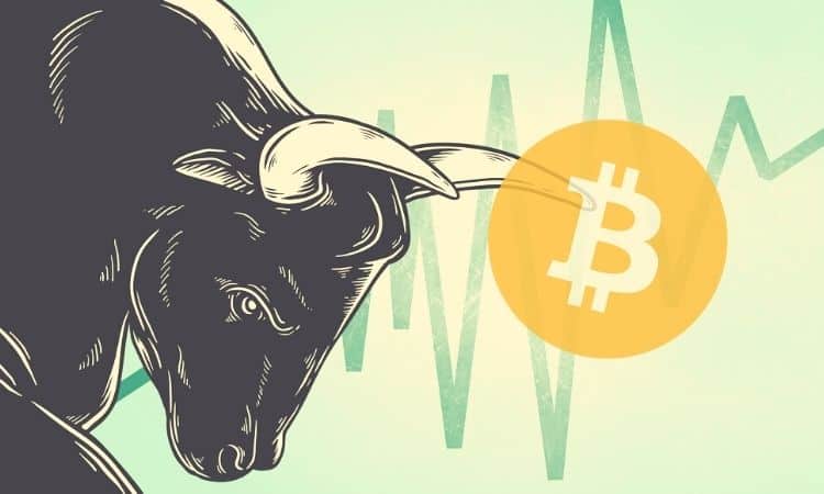 Altcoins-in-deep-green-as-bitcoin-skyrockets:-market-cap-heading-to-$350-billion