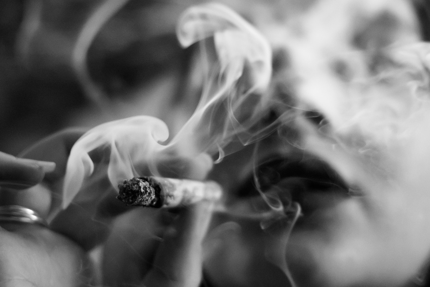 A-former-beauty-queen-raised-$12m-to-‘revolutionize’-cannabis.-the-courts-can’t-find-her