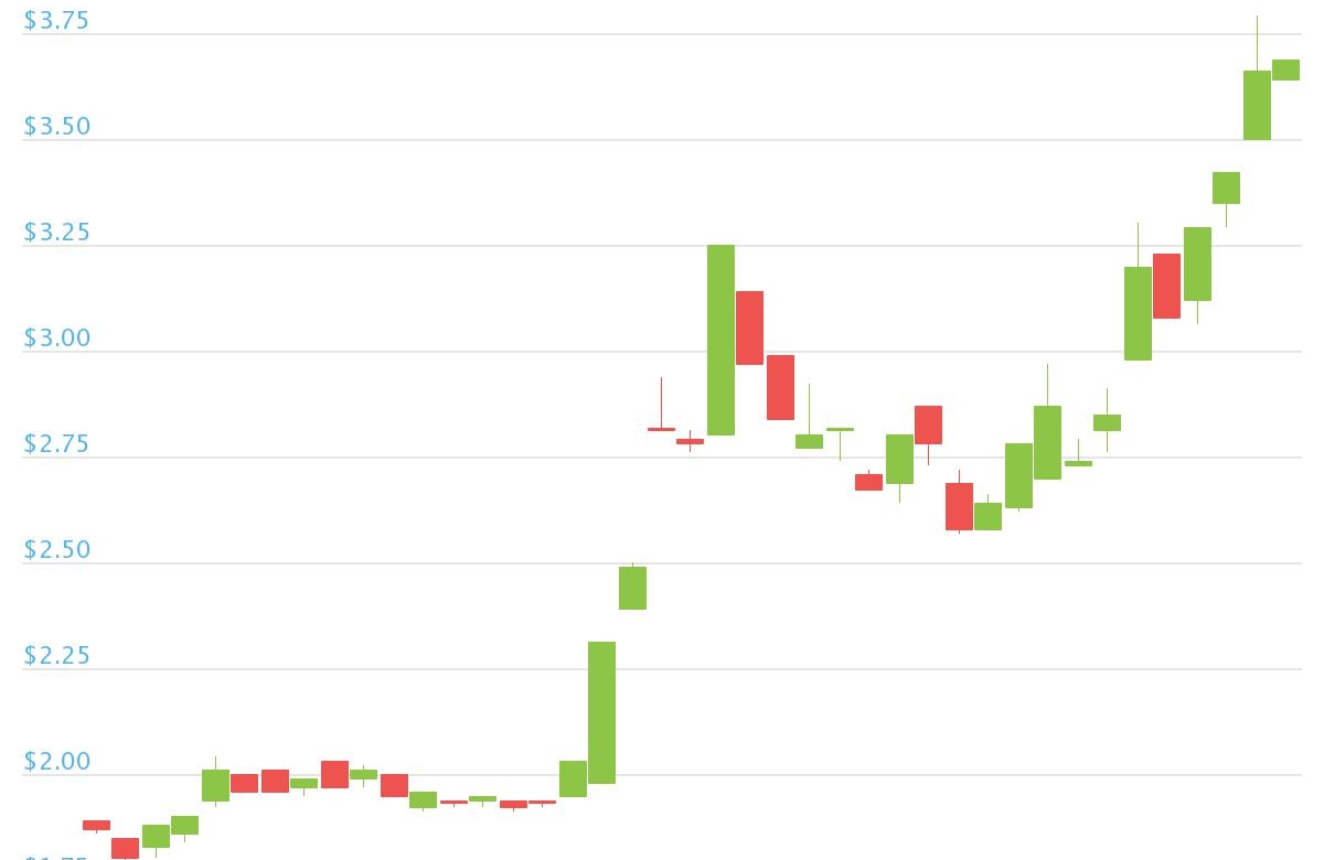 Omg-price-doubles-as-defi-and-record-ethereum-fees-create-‘perfect-storm’