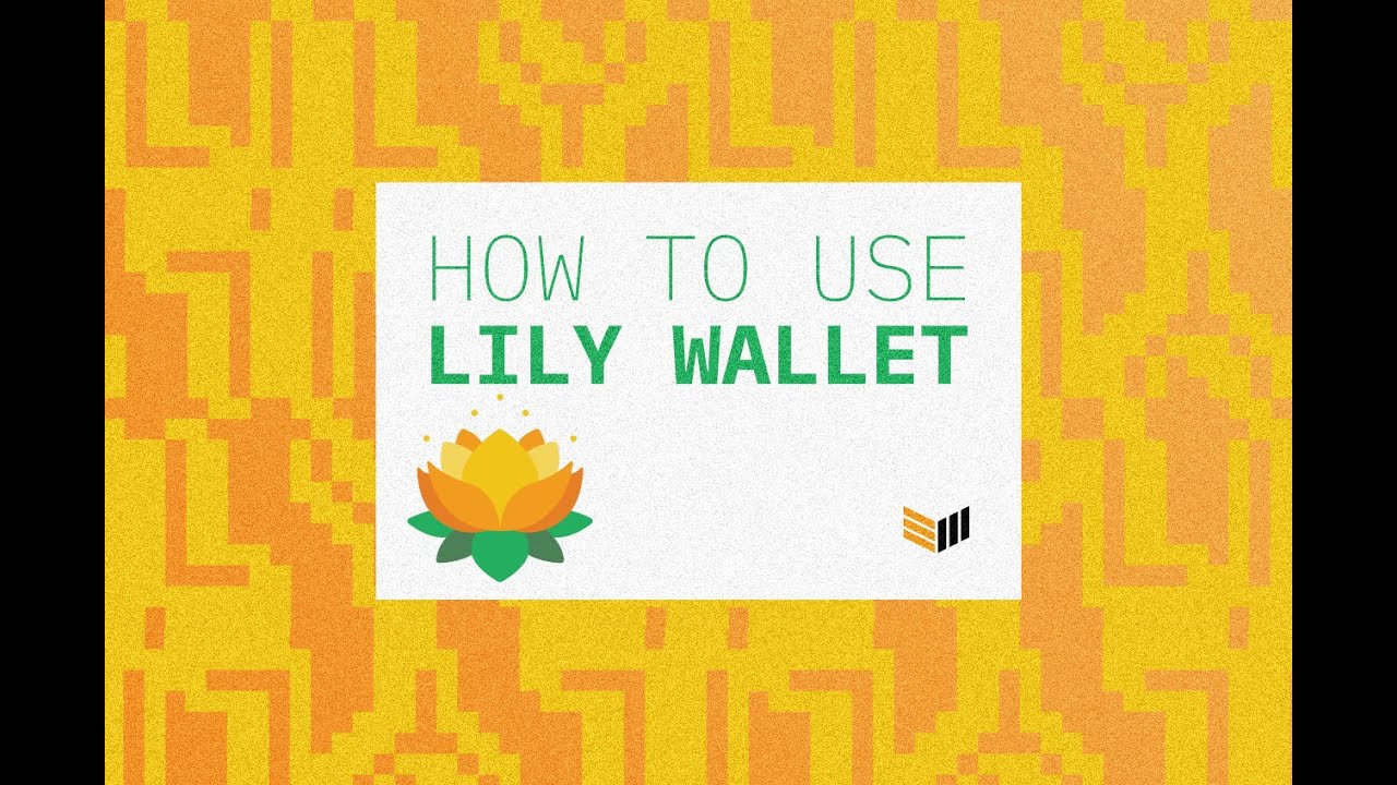 Video:-how-to-use-lily-wallet
