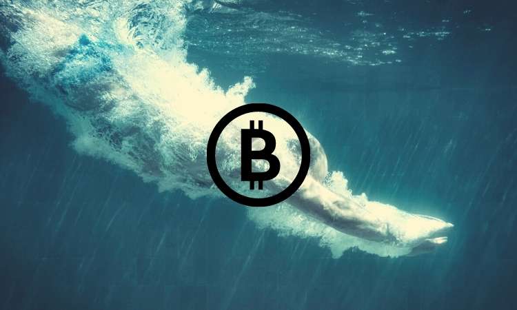Wall-street’s-brief-dive-takes-bitcoin-price-below-$9,900