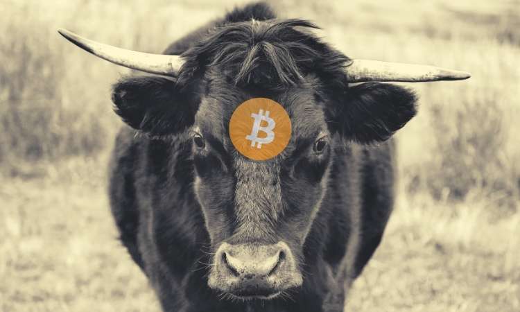 Bullish-for-bitcoin?-twitter-sentiment-and-btc-deposits-on-exchanges-dropping