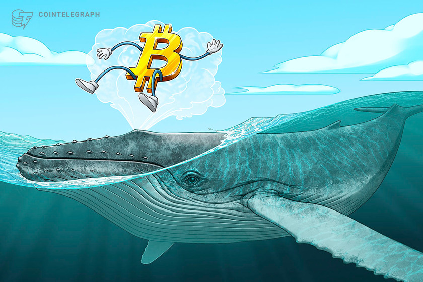 Bitcoin-whale-clusters-pinpoint-critical-levels-btc-must-hold-to-rally