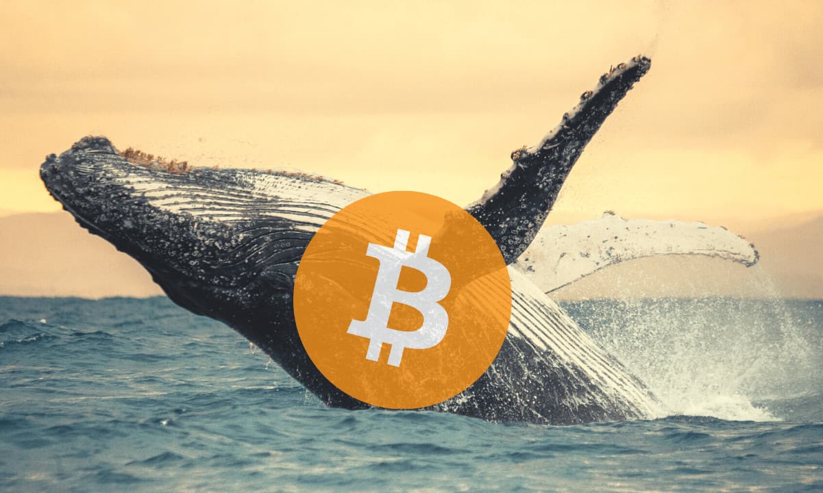 Bitcoin-whales-slow-down-following-months-of-accumulations:-what-about-btc-price?