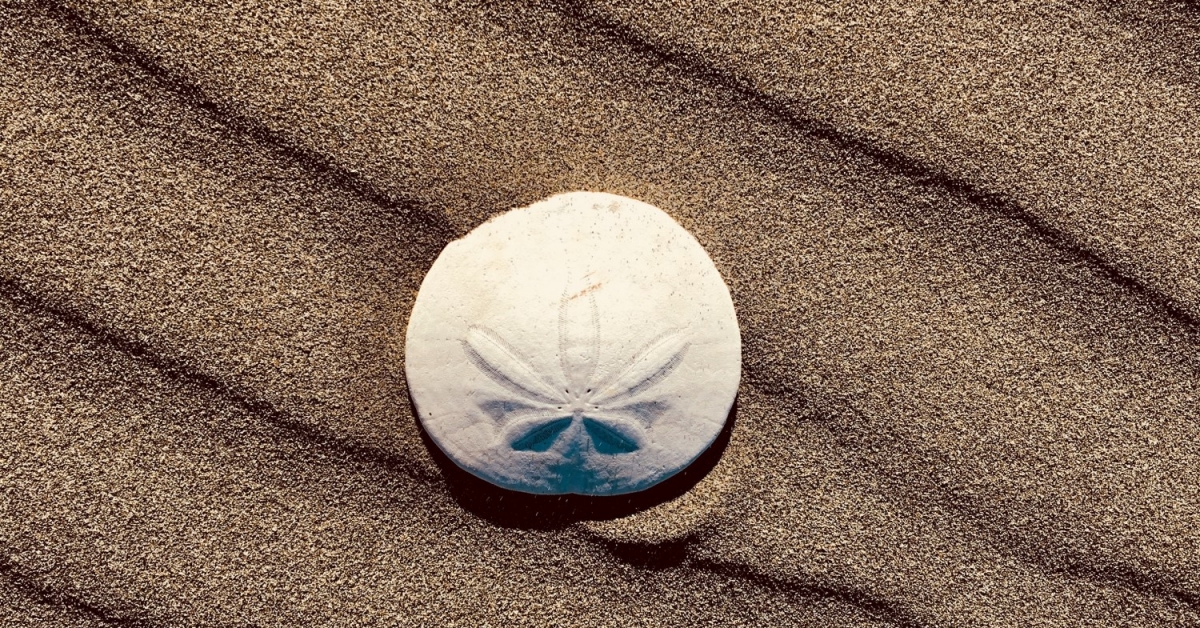 Central-bank-of-bahamas-launches-landmark-‘sand-dollar’-digital-currency