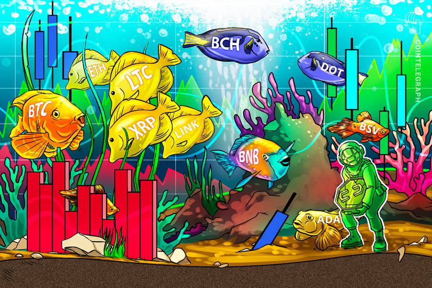 Price-analysis-11/4:-btc,-eth,-xrp,-bch,-link,-bnb,-ltc,-dot,-ada,-bsv