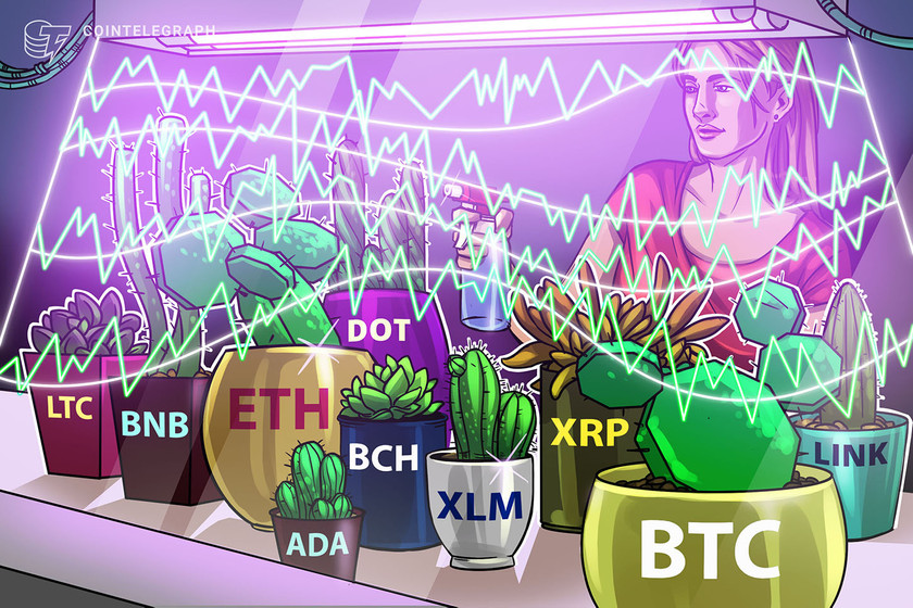 Price-analysis-12/7:-btc,-eth,-xrp,-ltc,-bch,-link,-dot,-ada,-bnb,-xlm