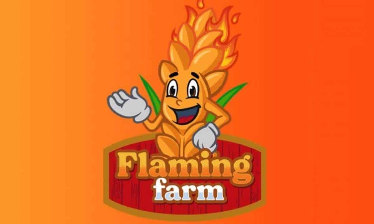 Flaming-farm:-the-deflationary-token-with-distinct-capabilities