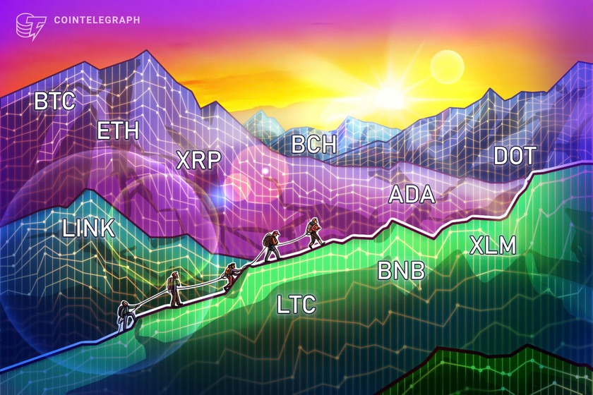 Price-analysis-1/11:-btc,-eth,-xrp,-ltc,-bch,-ada,-dot,-link,-bnb,-xlm