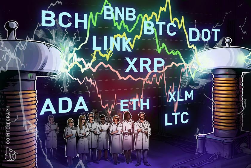 Price-analysis-1/29:-btc,-eth,-dot,-xrp,-ada,-link,-ltc,-bch,-bnb,-xlm