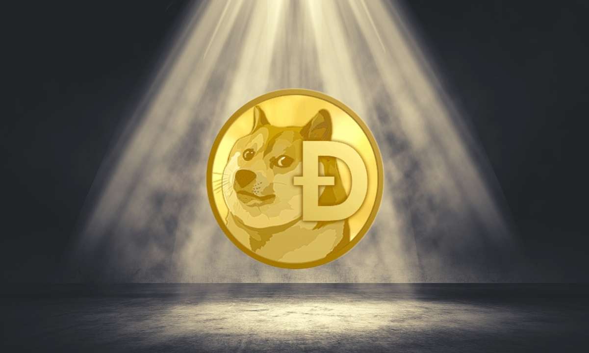 Industry-leaders-weigh-in-on-dogecoin-frenzy:-is-it-good-or-bad-for-crypto?