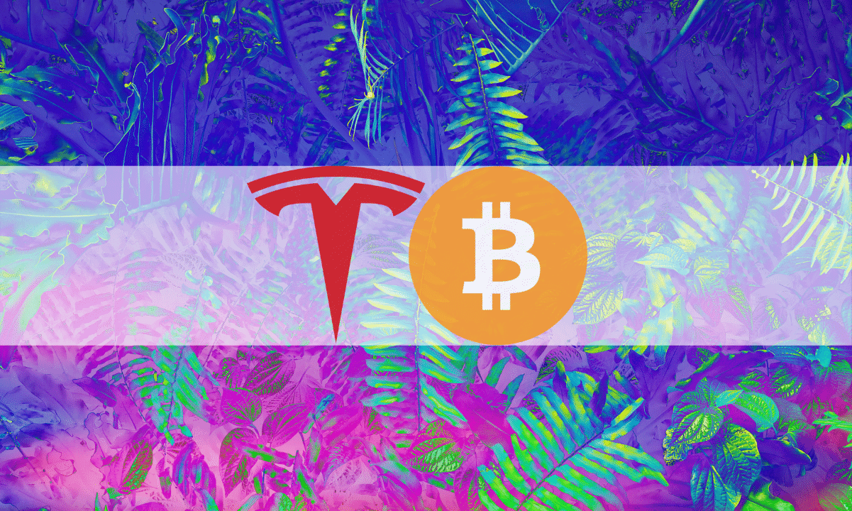 Lsd-induced-prank:-the-reddit-post-that-revealed-tesla’s-bitcoin-buy-before-it-became-public
