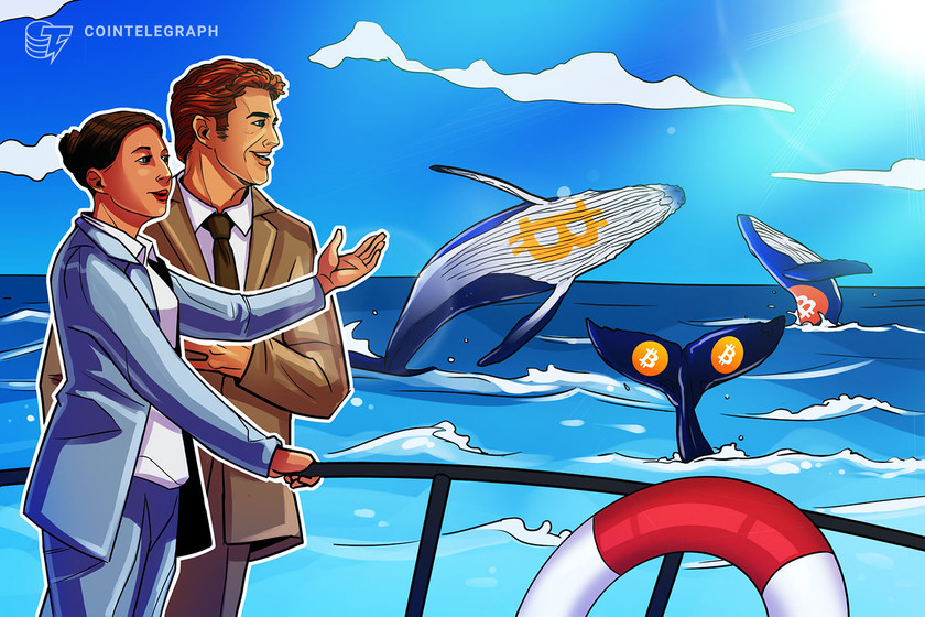 Cointelegraph-consulting:-btc-whales-buying-big-as-retail-goes-bullish