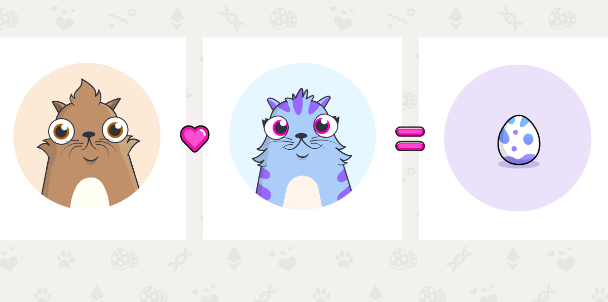 Nba-top-shot,-cryptokitties-firm-dapper-labs-raising-$250m+-at-$2b-valuation:-report