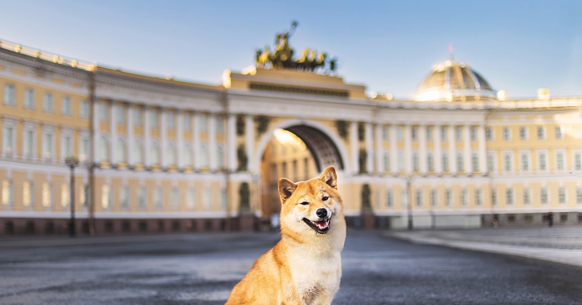 Crypto-long-&-short:-what-does-dogecoin-have-to-do-with-government-bans?
