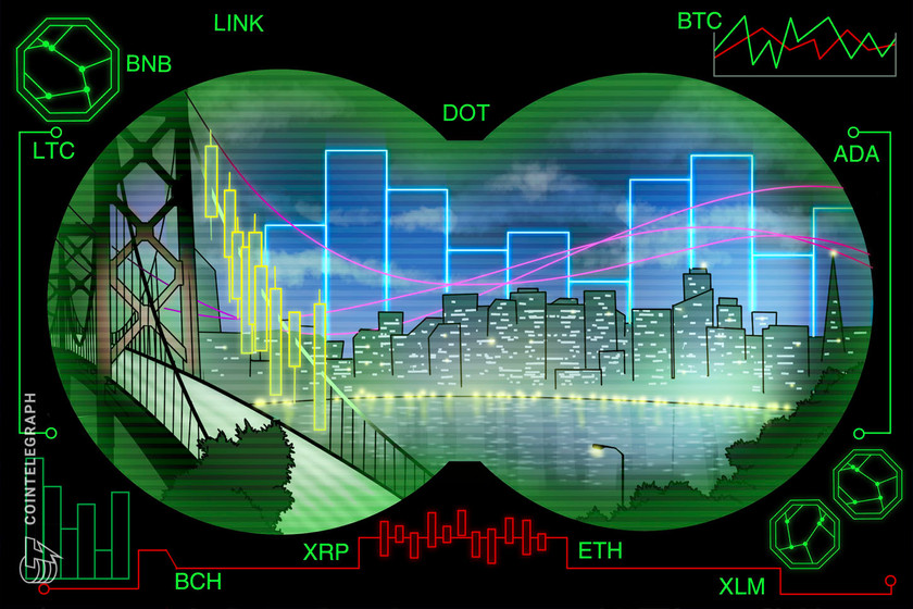 Price-analysis-2/24:-btc,-eth,-bnb,-dot,-ada,-xrp,-ltc,-link,-bch,-xlm