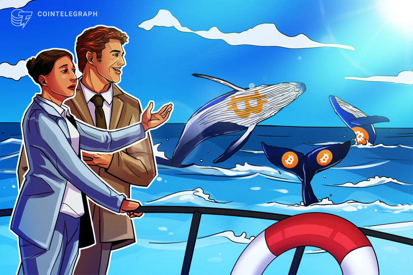 Institutions-and-miners-accumulating-through-bitcoin-chop;-whales-uncertain