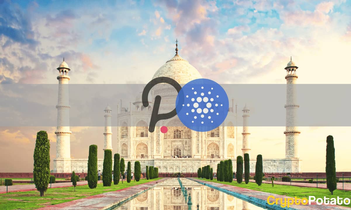 $250m-fund-to-invest-in-polkadot-and-cardano-launched-in-india