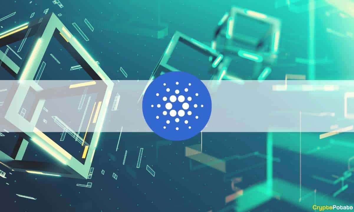 Cardano-multi-asset-‘mary’-update-launches-to-mainnet