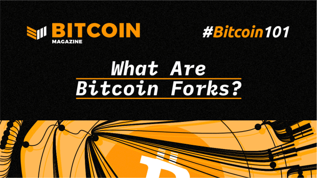What-are-bitcoin-forks?