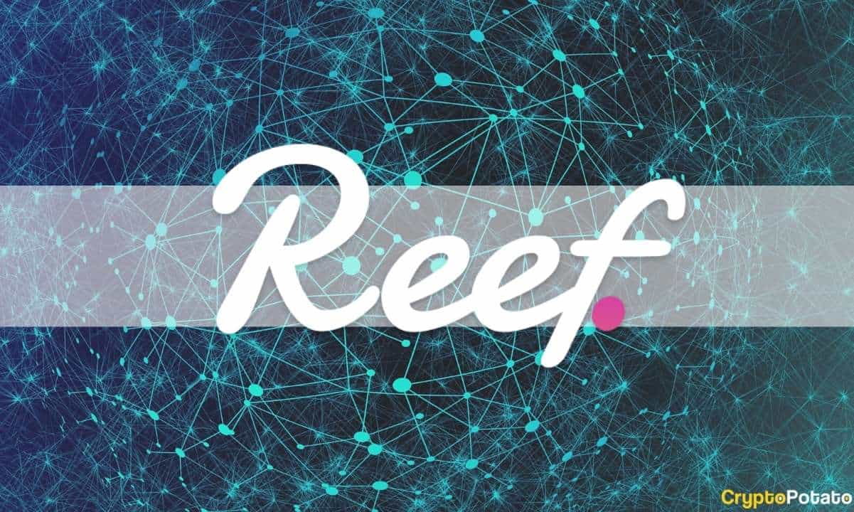 Reef-finance-receives-$20-million-investment-from-alameda-research