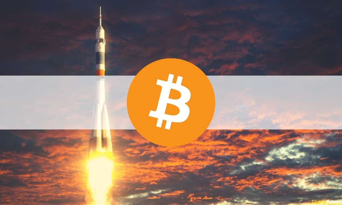 Bitcoin-soars-$2k-following-musk’s-tweet:-theta-top-9-after-100%-weekly-gains-(market-watch)