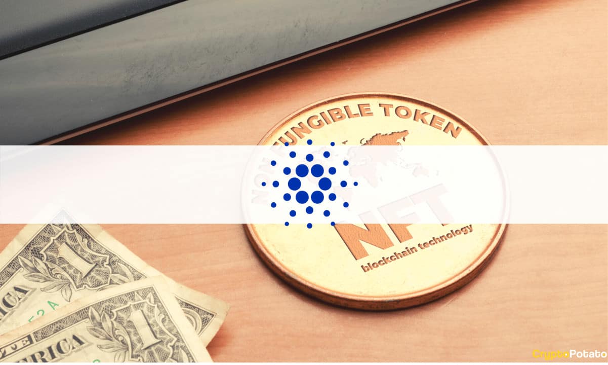 Cardano-to-support-nft-marketplaces,-hints-charles-hoskinson