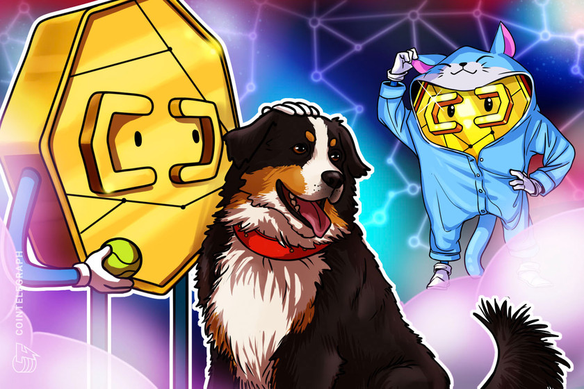 Bitcoiners-love-dogs,-gold-bugs-prefer-cats-—-important-new-research