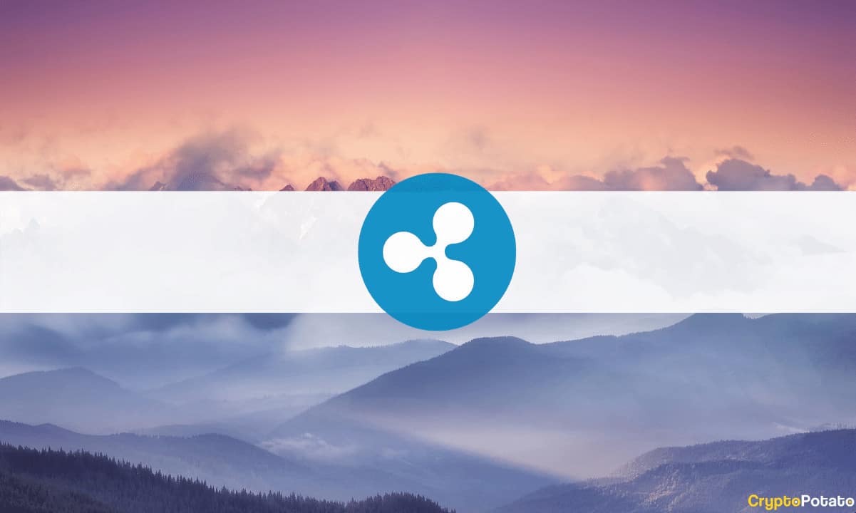 Ripple-(xrp)-back-in-top-4:-btc-dominance-plunging-(market-watch)