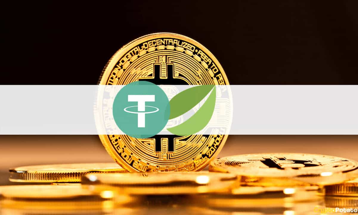 Bitfinex-derivatives-launches-contracts-for-tether-gold-bitcoin-with-up-to-100x-leverage