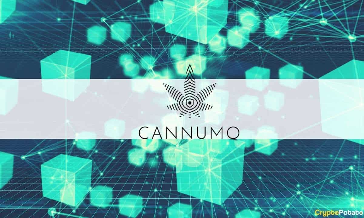 Cannumo-bridges-the-worlds-of-crypto-and-cannabis 